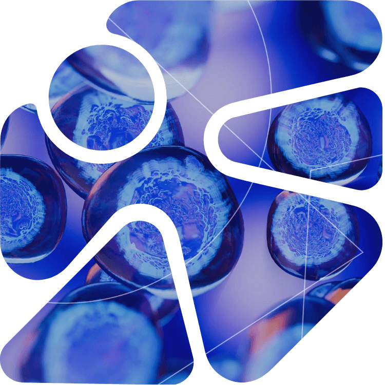 Oracle Byte Mission - Software Development